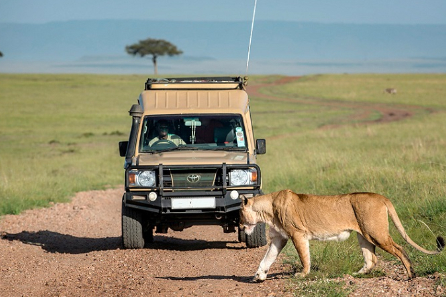 Get Ready for Adventure: 10 of the Best African National Parks to Visit