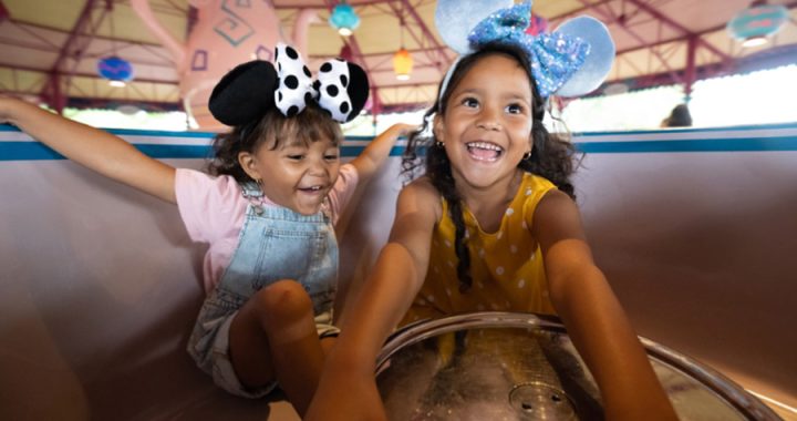 The Free Disney World Holiday Planning You Get With Orlando Insider