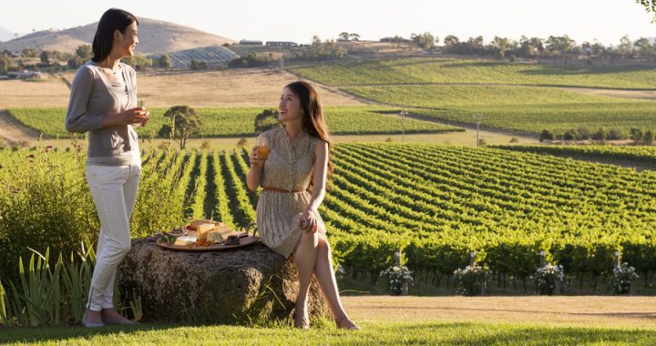 Yarra Valley Balloon Flights Best Sunrise Timing